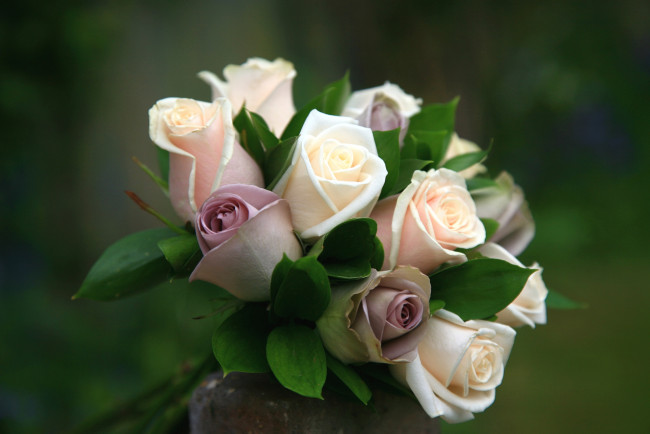 Обои картинки фото цветы, розы, букет, свадебный