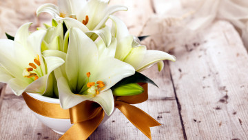 Картинка цветы лилии +лилейники лента бант белые ваза