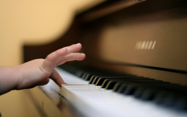 Обои картинки фото музыка, -музыкальные инструменты, клавиши, руки