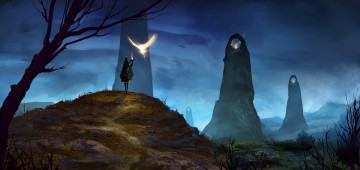 Картинка фэнтези маги +волшебники огонь фон птица девушка камни