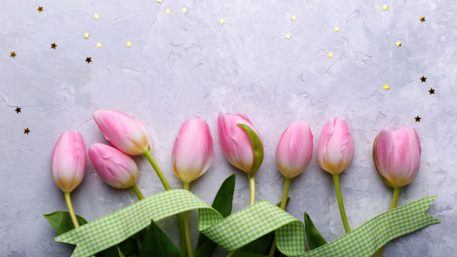 Обои картинки фото цветы, тюльпаны, бутоны, лента