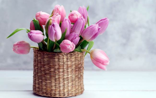 Обои картинки фото цветы, тюльпаны, бутоны, ваза