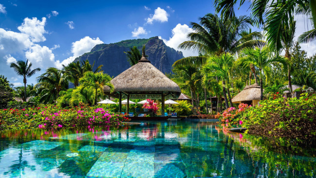 Обои картинки фото природа, тропики, гора, пальмы, бассейн