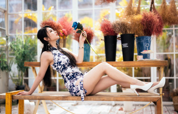 Картинка девушки -+азиатки брюнетка платье каблуки скамейка роза sakura cherry