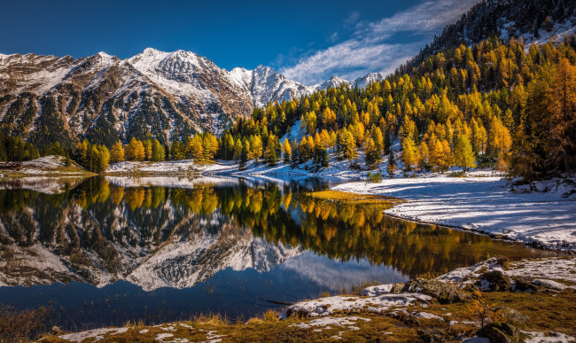 Обои картинки фото природа, пейзажи, осень, лес, снег, деревья, горы, озеро, отражение, австрия, альпы, austria, alps, штирия, styria, duisitzkarsee, дуйсицкар, duisitzkar, lake