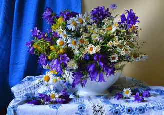 Картинка цветы луговые+ полевые +цветы ромашки колокольчики вербейник