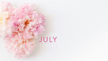 Картинка календари цветы пионы