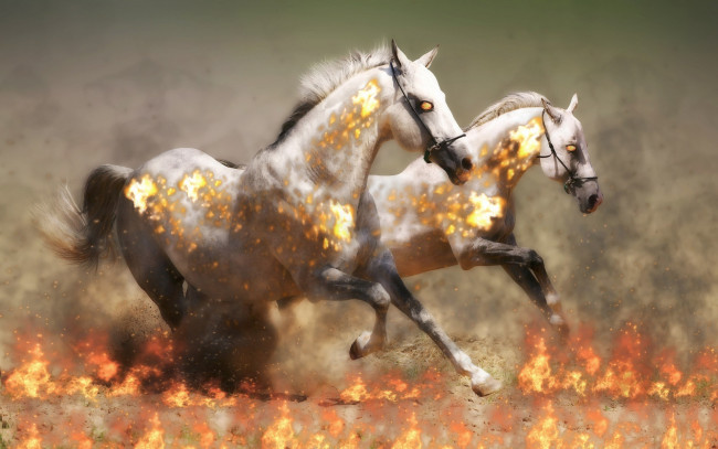 Обои картинки фото разное, компьютерный дизайн, огонь, пыль, лошади