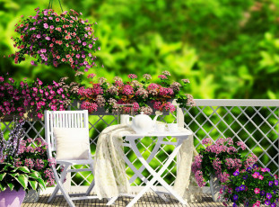 Картинка цветы разные+вместе заварник петунии столик терраса