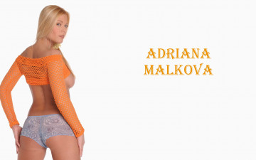 обоя девушки, adriana malkova, адриана, малкова, топ, взгляд, блондинка, спина, шорты, грудь, сетка