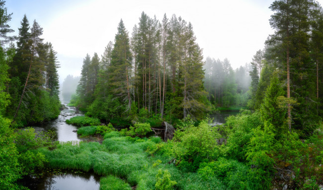 Обои картинки фото природа, реки, озера, деревья
