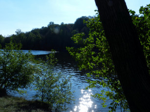 Картинка природа реки озера блики вода