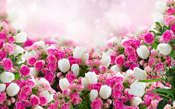 Картинка цветы разные+вместе белые тюльпаны розовые розы