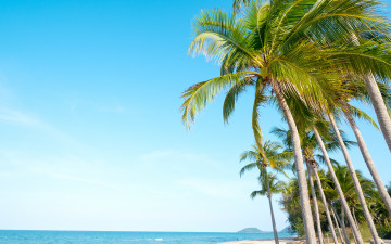 обоя природа, тропики, пальмы, paradise, берег, palms, beach, море, песок, beautiful, лето, пляж, sea, sand, seascape, небо, волны, summer, tropical