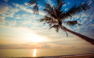 Картинка природа восходы закаты beautiful закат palms берег песок море sunset tropical лето пляж sea sand seascape небо волны summer пальмы paradise beach