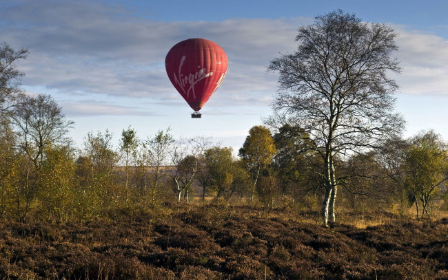 Обои картинки фото авиация, воздушные шары, шар, деревья, воздушный