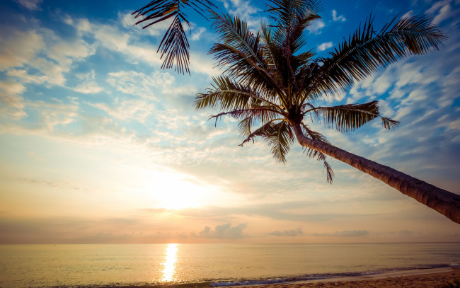 Обои картинки фото природа, восходы, закаты, beautiful, закат, palms, берег, песок, море, sunset, tropical, лето, пляж, sea, sand, seascape, небо, волны, summer, пальмы, paradise, beach