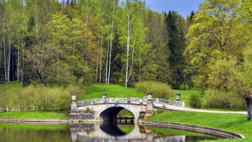 Картинка природа парк мостик водоем