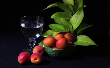 Картинка еда персики +сливы +абрикосы абрикосы