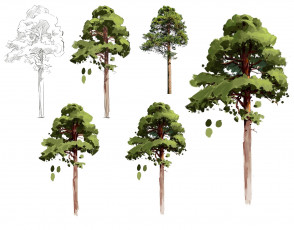 Картинка рисованное природа деревья