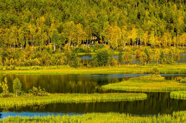 Обои картинки фото природа, реки, озера, трава, осень, холмы, горы, деревья, лес, дом, озеро, норвегия