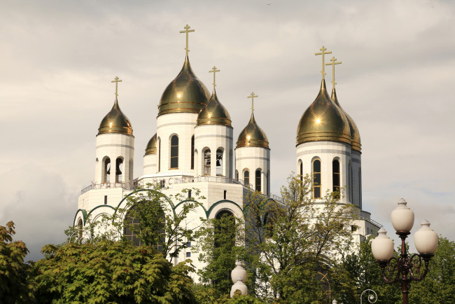 Обои картинки фото калининград , россия, города, - православные церкви,  монастыри, купола