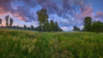 Картинка природа луга лето луг трава тучи