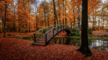 Картинка природа парк осень листопад водоем мостик