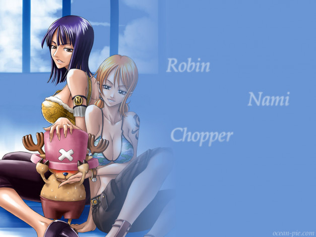 Обои картинки фото аниме, one, piece, nami, nico, robin, chopper