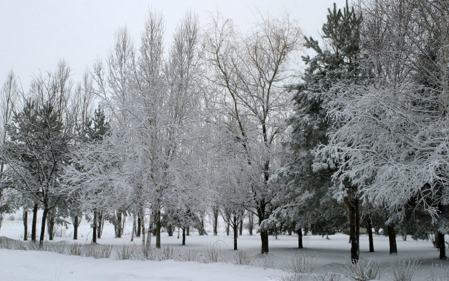 Обои картинки фото зима, природа