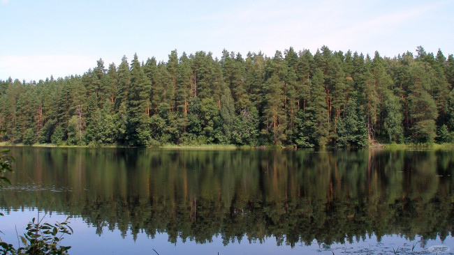 Обои картинки фото Чарское, озеро, природа, реки, озера, берег, лес