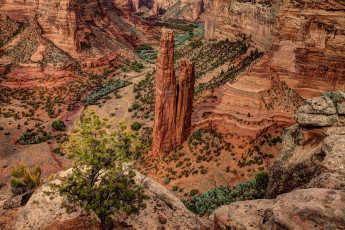 Картинка природа горы скалы кусты каньон сша
