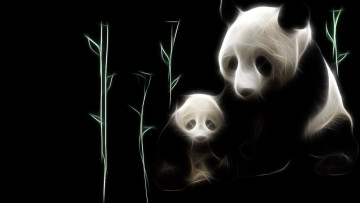 Картинка 3д графика animals животные панда