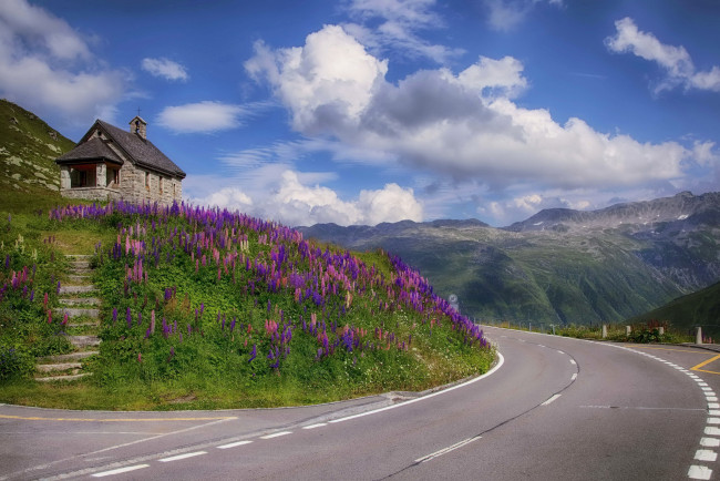 Обои картинки фото швейцария, реальп, природа, дороги, домик, дорога, цветы