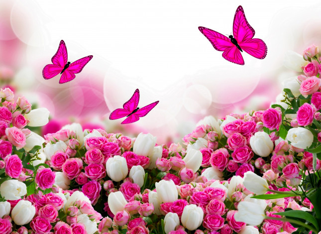 Обои картинки фото разное, компьютерный дизайн, бабочки, цветы, розы, тюльпаны, листики