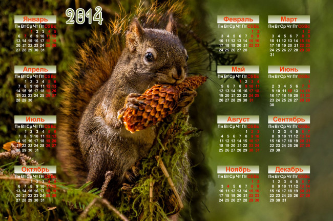 Обои картинки фото календари, животные, календарь, белка