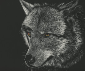 Картинка рисованное животные +волки фон волк взгляд