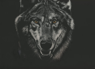 Картинка рисованное животные +волки волк фон взгляд