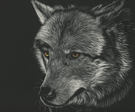 Обои картинки фото рисованное, животные,  волки, фон, волк, взгляд
