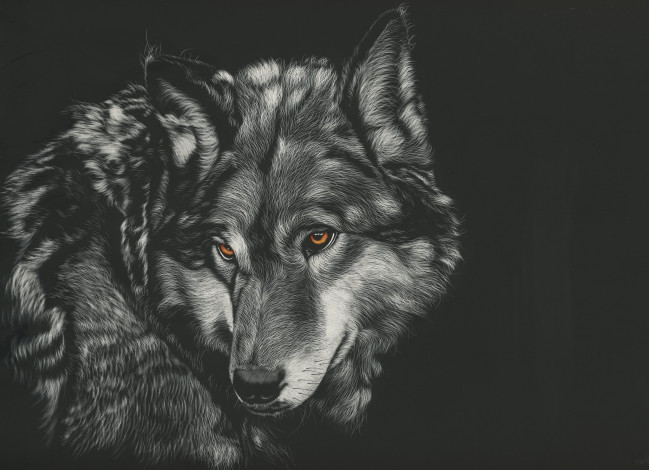 Обои картинки фото рисованное, животные,  волки, волк, взгляд, фон