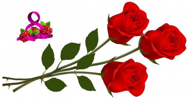 Обои картинки фото праздничные, международный женский день - 8 марта, розы, флора, цветы, праздник, фон
