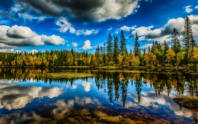 Обои картинки фото природа, реки, озера, озеро, деревья, облака, небо, лес, отражение