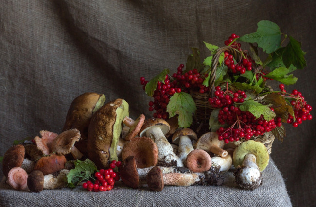 Обои картинки фото еда, грибы,  грибные блюда, калина, ягоды, осень