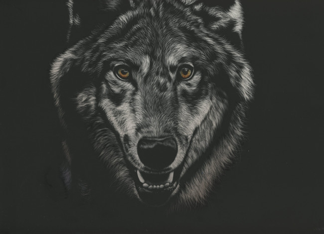 Обои картинки фото рисованное, животные,  волки, волк, фон, взгляд
