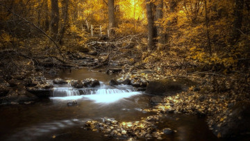 Картинка природа реки озера осень речушка