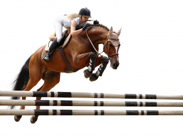 Обои картинки фото спорт, конный спорт, конь, блондинка, жокей, прыжок, барьер