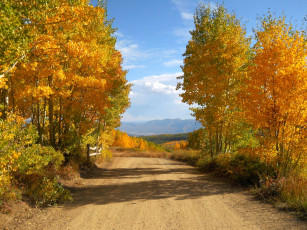 обоя природа, дороги, осень, листья