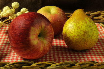 обоя еда, фрукты, ягоды, груша, яблоко