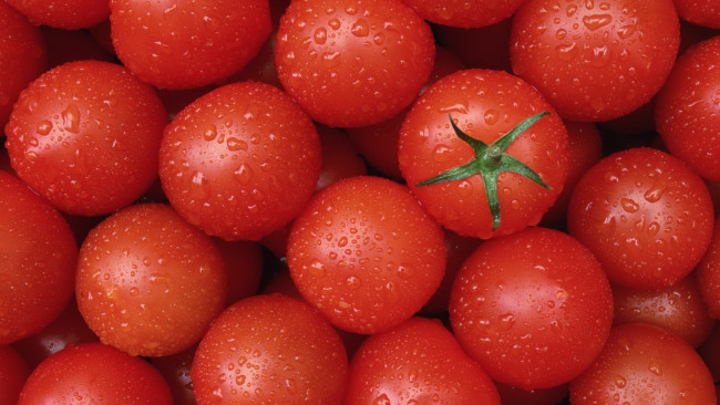 Обои картинки фото еда, помидоры, чистые, красные, вкусно, капли, воды, томаты