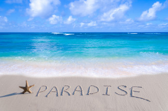 Картинка природа тропики море пляж пальмы песок солнышко